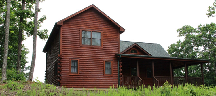 Professional Log Home Borate Application  Jones County,  North Carolina